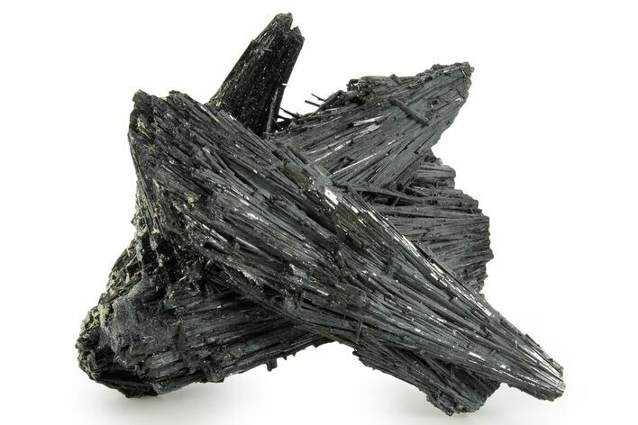 Black Tourmaline (Schorl) Crystal Cluster - Namibia #363668